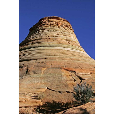Utah, Zion NP, Checkerboard Mesa Rock formation White Modern Wood Framed Art Print by Illg, Cathy and Gordon