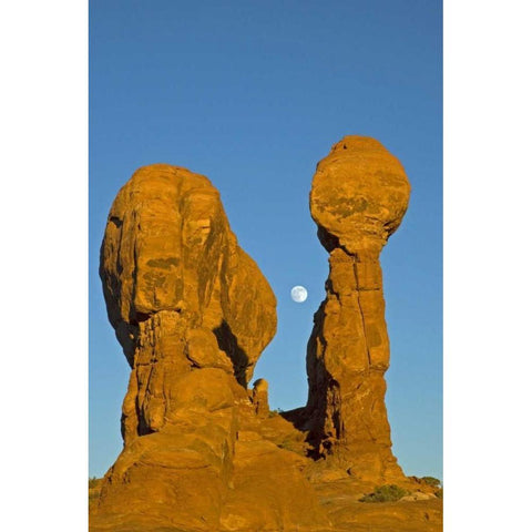 UT, Arches NP Moonrise over Garden of Eden White Modern Wood Framed Art Print by Illg, Cathy and Gordon