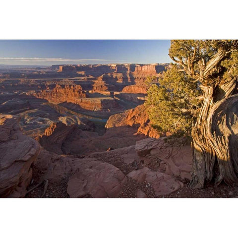 Utah, Dead Horse Point SP Sunrise on the park White Modern Wood Framed Art Print by Illg, Cathy and Gordon