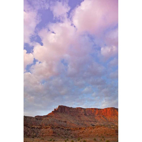 UT, Canyonlands NP Grand View Point Overlook White Modern Wood Framed Art Print by Lord, Fred