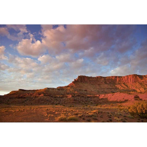 UT, Canyonlands NP Grand View Point Overlook Gold Ornate Wood Framed Art Print with Double Matting by Lord, Fred