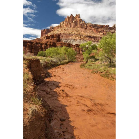 UT, Capitol Reef NP Fremont River after rain Black Modern Wood Framed Art Print by Welling, Dave