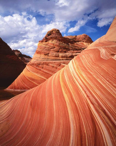 Utah, Paria Canyon The Wave formation, sandstone White Modern Wood Framed Art Print with Double Matting by Flaherty, Dennis