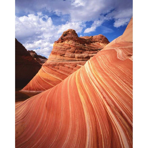 Utah, Paria Canyon The Wave formation, sandstone White Modern Wood Framed Art Print by Flaherty, Dennis