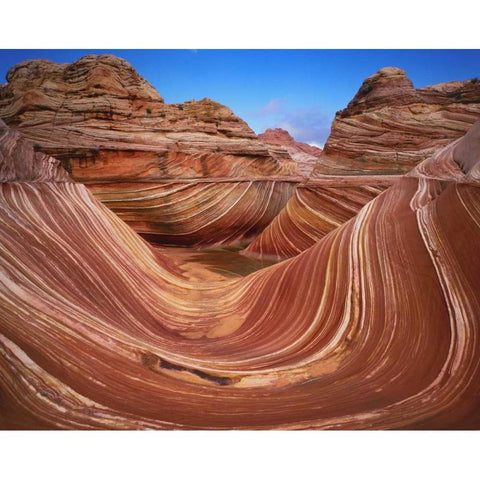 Utah, Paria Canyon The Wave formation, sandstone White Modern Wood Framed Art Print by Flaherty, Dennis