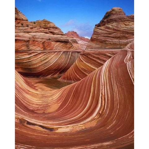 Utah, Paria Canyon The Wave formation, sandstone Black Modern Wood Framed Art Print by Flaherty, Dennis