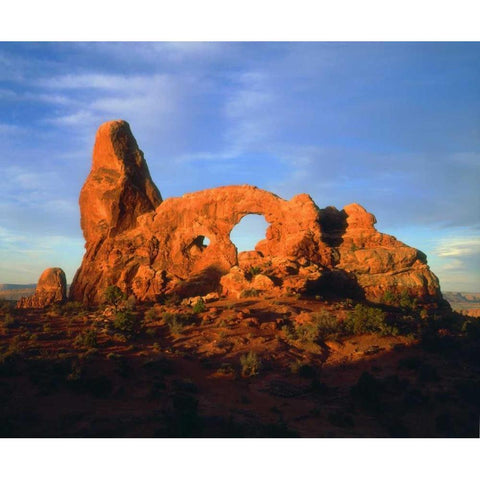 USA, Utah, Arches NP Arches at sunset White Modern Wood Framed Art Print by Talbot Frank, Christopher