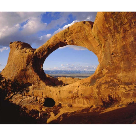 Utah, Arches NP Double O Arch Black Modern Wood Framed Art Print by Talbot Frank, Christopher