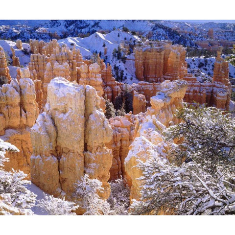 Utah, Bryce Canyon NP in Winter White Modern Wood Framed Art Print by Talbot Frank, Christopher