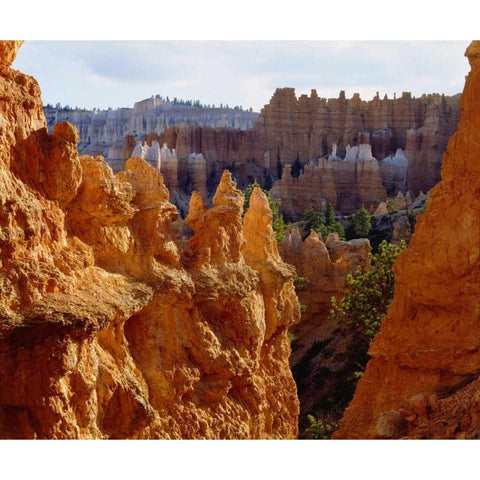 Utah, Bryce Canyon NP Sandstone formations Black Modern Wood Framed Art Print by Talbot Frank, Christopher