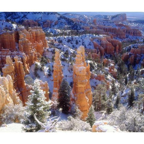 USA, Utah, Bryce Canyon NP Winter Gold Ornate Wood Framed Art Print with Double Matting by Talbot Frank, Christopher