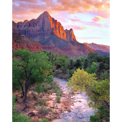 Utah, Zion NP at Sunset White Modern Wood Framed Art Print by Talbot Frank, Christopher