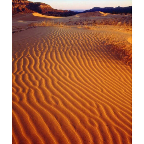 USA, Utah Coral Pink Sand Dunes at sunset Gold Ornate Wood Framed Art Print with Double Matting by Talbot Frank, Christopher