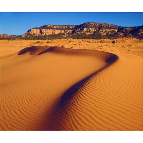 USA, Utah Coral Pink Sand Dunes at sunset White Modern Wood Framed Art Print by Talbot Frank, Christopher