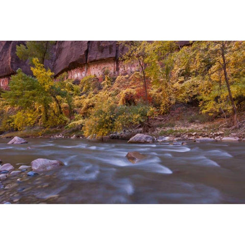 USA, Utah, Zion NP Autumn on the Virgin River Black Modern Wood Framed Art Print by Illg, Cathy and Gordon