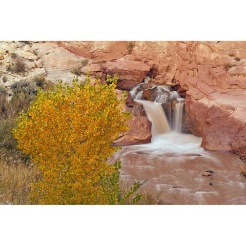 UT, Capitol Reef NP Waterfall on Fremont River Black Modern Wood Framed Art Print with Double Matting by Illg, Cathy and Gordon