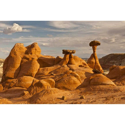 UT, Grand Staircase Escalante NM Toadstools Black Modern Wood Framed Art Print with Double Matting by Illg, Cathy and Gordon