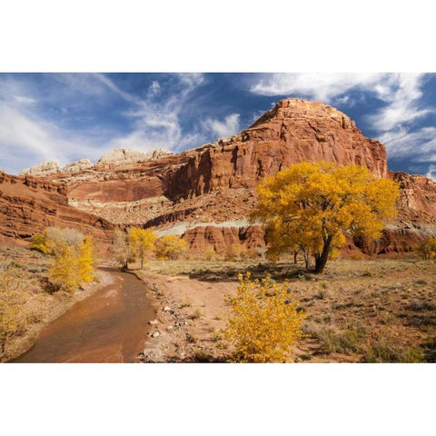 Utah, Capitol Reef Creek and autumn landscape White Modern Wood Framed Art Print by Illg, Cathy and Gordon