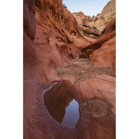 UT, Capitol Reef Lower Muley Twist Canyon pools Black Modern Wood Framed Art Print by Illg, Cathy and Gordon