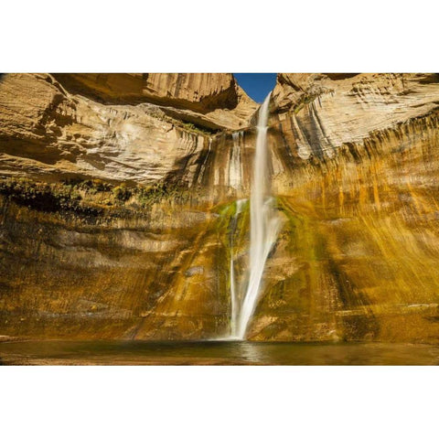 UT, Grand Staircase Escalante, Calf Creek Falls White Modern Wood Framed Art Print by Illg, Cathy and Gordon