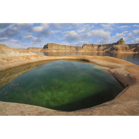 Utah, Glen Canyon Pool of water at Lake Powell Black Modern Wood Framed Art Print by Paulson, Don