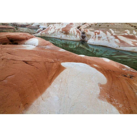 Utah, Glen Canyon Bleached patterns in sandstone Gold Ornate Wood Framed Art Print with Double Matting by Paulson, Don