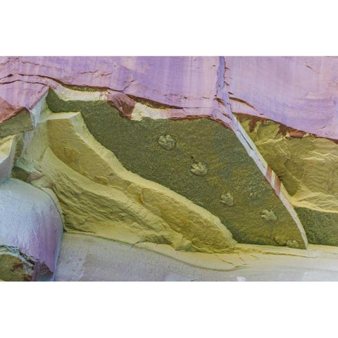 Utah, Glen Canyon Dinosaur tracks on rock face White Modern Wood Framed Art Print by Paulson, Don