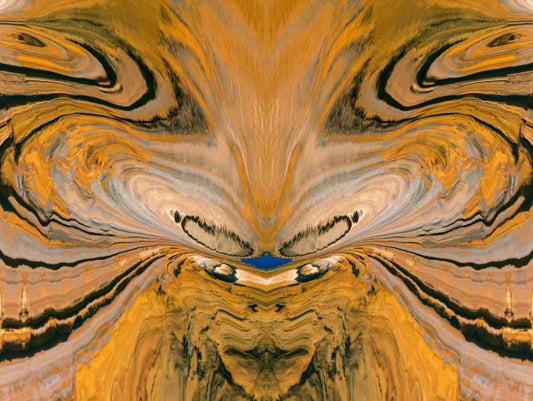 Image Only