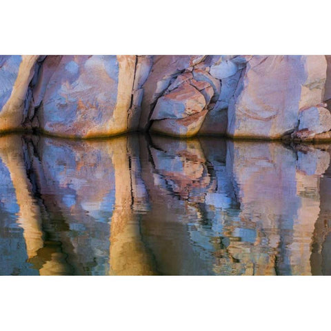 Utah, Glen Canyon Abstract reflection sandstone Gold Ornate Wood Framed Art Print with Double Matting by Paulson, Don