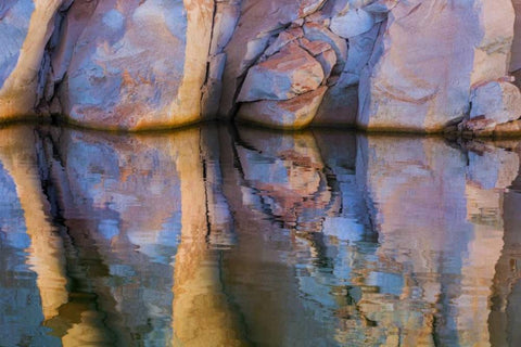 Utah, Glen Canyon Abstract reflection sandstone Black Ornate Wood Framed Art Print with Double Matting by Paulson, Don