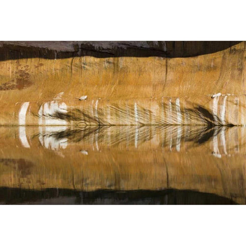 Utah, Glen Canyon Abstract reflection sandstone Gold Ornate Wood Framed Art Print with Double Matting by Paulson, Don