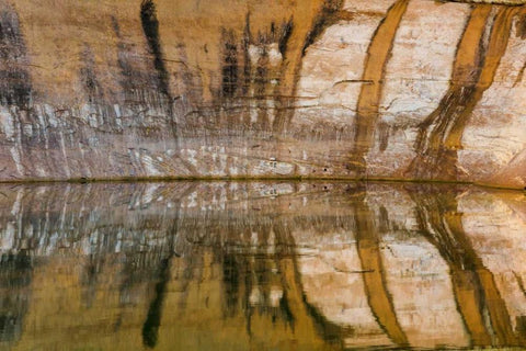 Utah, Glen Canyon Abstract reflection sandstone Black Ornate Wood Framed Art Print with Double Matting by Paulson, Don