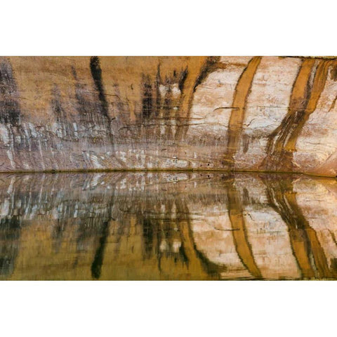 Utah, Glen Canyon Abstract reflection sandstone Black Modern Wood Framed Art Print by Paulson, Don