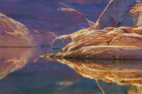 Utah, Glen Canyon Abstract reflection sandstone Black Ornate Wood Framed Art Print with Double Matting by Paulson, Don
