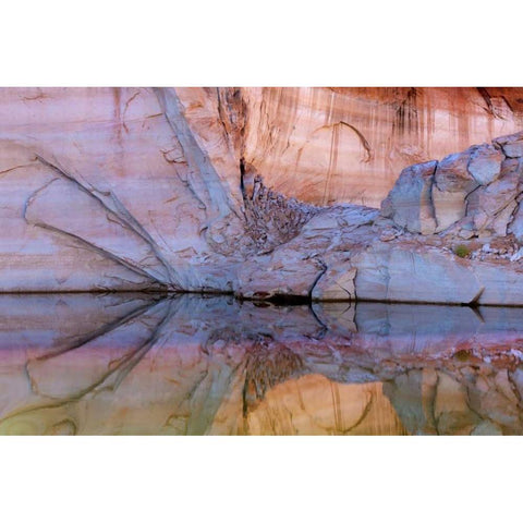 Utah, Glen Canyon Abstract reflection sandstone Gold Ornate Wood Framed Art Print with Double Matting by Paulson, Don