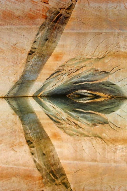 Image Only