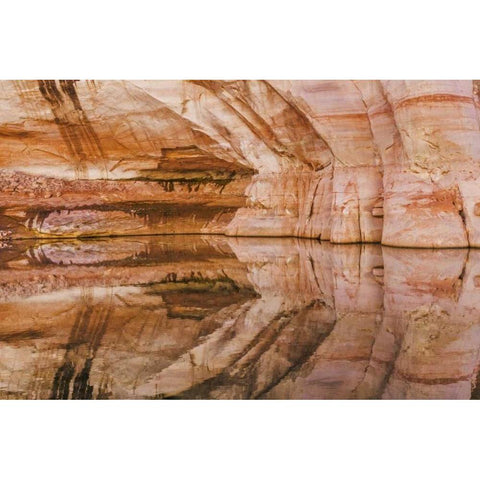 Utah, Glen Canyon Abstract reflection sandstone Gold Ornate Wood Framed Art Print with Double Matting by Paulson, Don