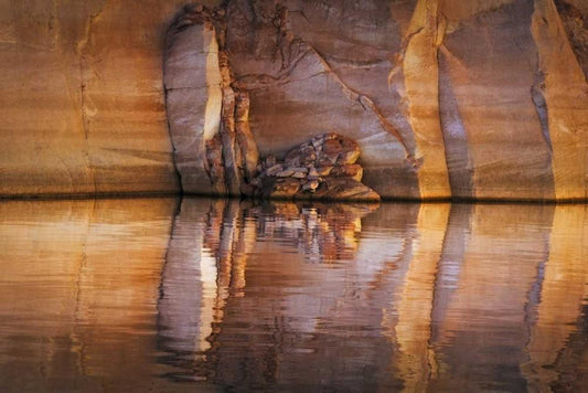 Image Only