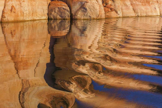 Image Only