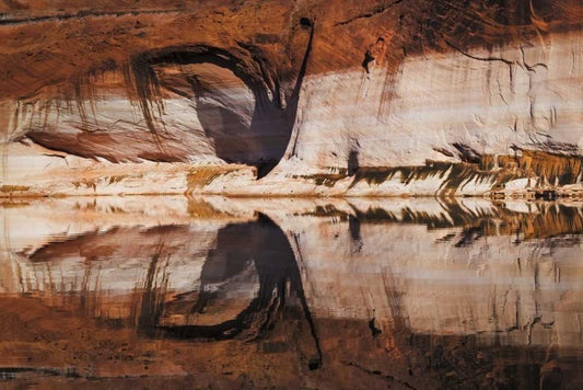 Image Only