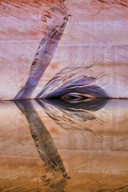 Image Only