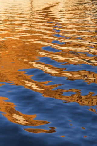 Utah, Glen Canyon Reflection in Lake Powell White Modern Wood Framed Art Print with Double Matting by Paulson, Don