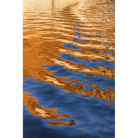Utah, Glen Canyon Reflection in Lake Powell Black Modern Wood Framed Art Print by Paulson, Don