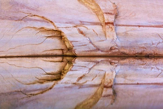 Image Only