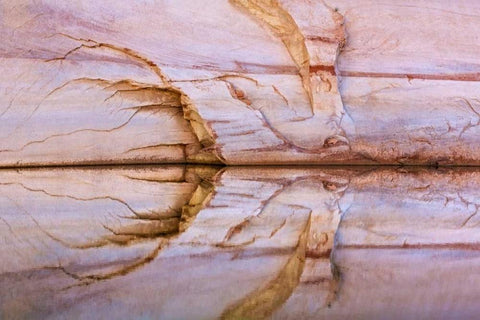 Utah, Glen Canyon Abstract reflection sandstone Black Ornate Wood Framed Art Print with Double Matting by Paulson, Don