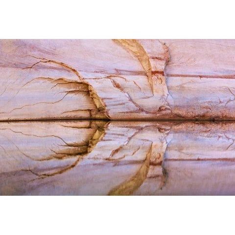 Utah, Glen Canyon Abstract reflection sandstone Black Modern Wood Framed Art Print with Double Matting by Paulson, Don
