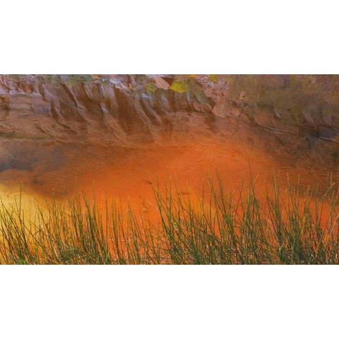 Utah, Glen Canyon NRA Reflection in Pool Canyon Black Modern Wood Framed Art Print by Paulson, Don