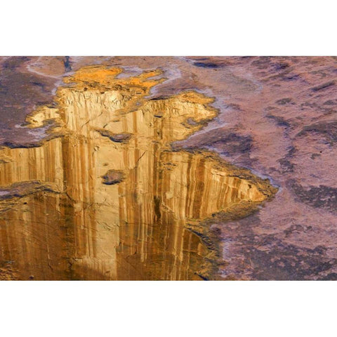 Utah, Glen Canyon Pool of water reflects a cliff Black Modern Wood Framed Art Print with Double Matting by Paulson, Don