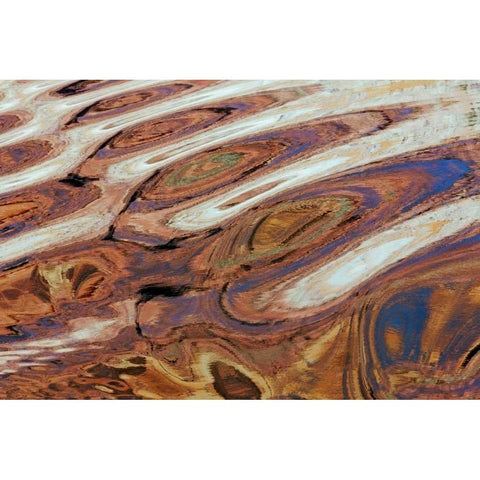 Utah, Glen Canyon Reflection in Lake Powell Black Modern Wood Framed Art Print with Double Matting by Paulson, Don
