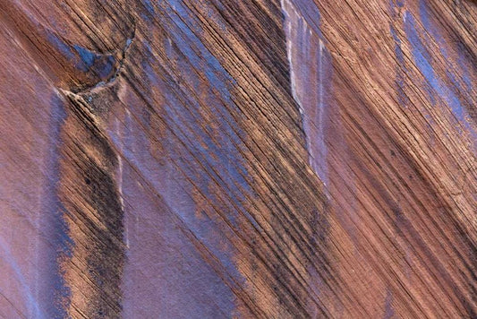 Image Only